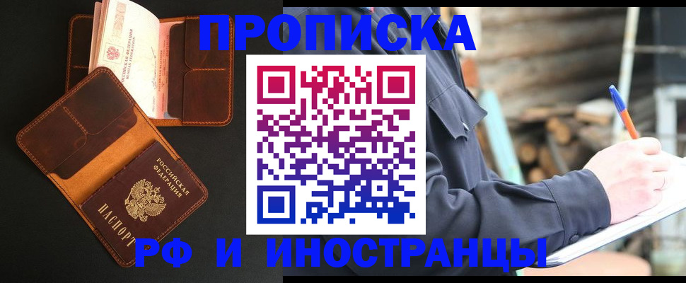 прописка 2025 в Звенигово